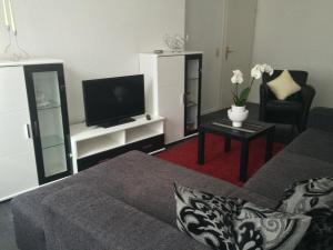 a living room with a couch and a tv and a chair at Anton-Ulrich Apartment in Meiningen