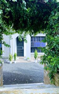 ein weißes Gebäude mit einigen Pflanzen davor in der Unterkunft Garden Villa by Wedelia Homes in Tengeru