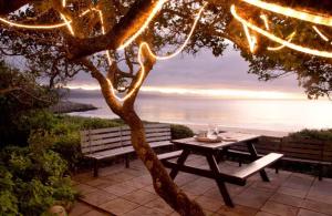 a picnic table under a tree with a view of the ocean at Tremezzo Villa in Plettenberg Bay