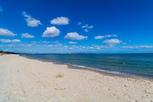 une plage de sable avec l'océan par beau temps dans l'établissement Villa Strandidyll Apartment 15, Meerblick, inkl Strandkorb, à Binz