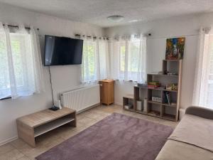 a living room with a flat screen tv on the wall at Martinov dom in Kranjska Gora