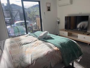 a bedroom with a bed and a flat screen tv at Cozy 1 BR 1 Bathroom studio in Christchurch