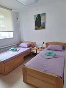 um quarto com duas camas e um quadro na parede em Aleksa rooms em Belgrado