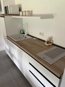 a kitchen with a counter top with a sink at Le Casette CINQUE in Pacengo di Lazise