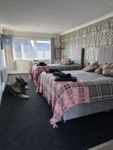 a bedroom with two beds and a dog laying on the floor at Traeth Rooms in Cardigan +23 photos