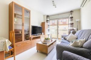 ein Wohnzimmer mit Sofa und Fernseher in der Unterkunft Azucarera 2 Room- HOME RENT MALAGA in Torre del Mar