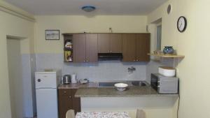 a small kitchen with a sink and a refrigerator at Apartments Furlan in Portorož