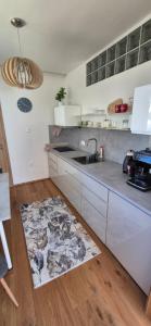 Kuchyň nebo kuchyňský kout v ubytování Zeus apartmán
