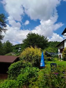 ein blauer Kegel, der im Gras in einem Hof sitzt in der Unterkunft Ferienwohnung Karlsruh in Warmensteinach
