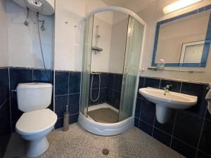 A bathroom at Caprice Apartment in Lozenec