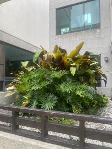 水里乡五山三水民宿 的相册照片