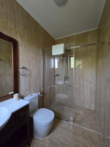 a bathroom with a shower and a toilet and a sink at Pensiunea Cocosel in Căstău