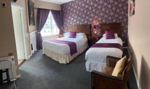 two beds in a hotel room with purple wallpaper at Grand Central Hotel in Ó Méith
