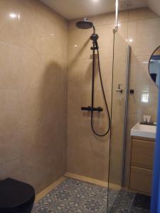 un baño con ducha y lavabo en Château Marnand - Studio Vases Chinois, en Granges