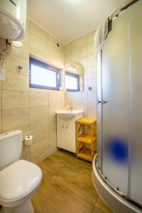 a bathroom with a toilet and a sink and a shower at Domki letniskowe Marengo in Lubiatowo +46 photos