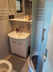 a bathroom with a sink and a toilet and a shower at Panta rhei in Razvala