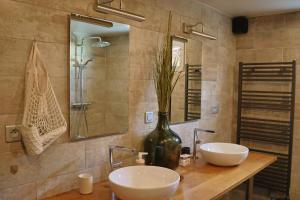 a bathroom with two sinks and a vase with a plant at Le loft in Villeneuve-Saint-Georges +35 photos