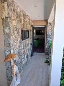 Fotografie z fotogalerie ubytování Marabunta studio v destinaci Mauritius