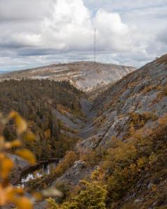 a view of a mountain with trees on it at Jussan Luppo - Original Log Cabin, Sauna, Ski 100m in Pyhätunturi