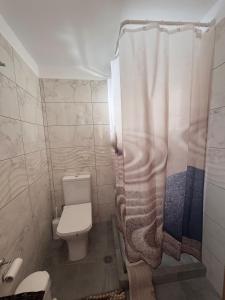 a bathroom with a toilet and a shower curtain at Tsakoniki filoxenia! in Leonidio +27 photos