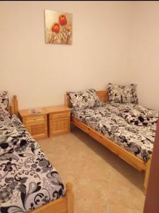 a bedroom with two beds and a painting on the wall at BetaBlue Apartament in Saturn