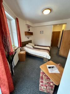 Postel nebo postele na pokoji v ubytování Hotel Vladimír
