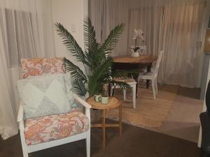 a living room with a chair and a table with a plant at Sunny Central Parkvale home in Hastings