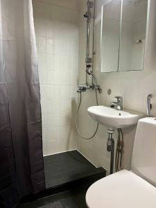 a bathroom with a shower and a sink and a toilet at Helsinki Punavuori Studio in Helsinki