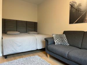 a living room with a bed and a couch at Helsinki Punavuori Studio in Helsinki