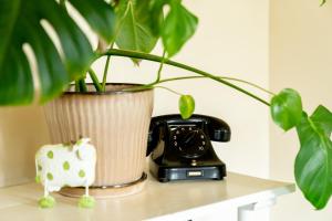 a plant sitting on a table next to a phone at Akaciegaarden Bed & Breakfast in Hårlev