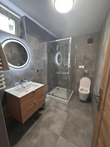 a bathroom with a shower and a sink and a toilet at Leśna Polana in Sękocin Stary