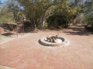 Gallery image of Lion and Cheetah Sanctuary in Cullinan