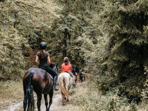 a group of people riding horses down a trail at Sunset Hills Chalet in Slănic