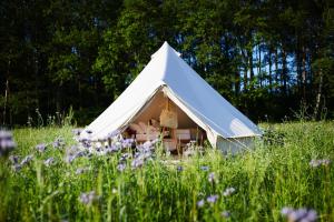 a white teepee tent in a field of flowers at bosco glamping in Modrzewek