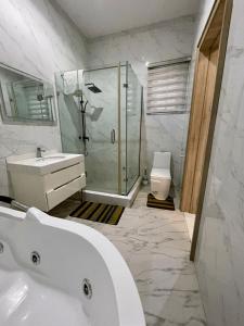 a bathroom with a sink and a shower and a toilet at EliteunseenSuites - 5 Bedroom Beautiful Detached House - Private Parking in Lekki +42 photos