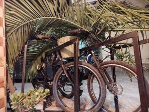 Jízda na kole v ubytování Harmony Backpackers Hostel nebo okolí