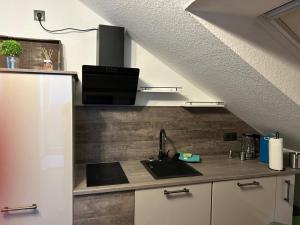 Kuchyň nebo kuchyňský kout v ubytování Ferienwohnung Zeitz - Weiße Elster Apartment
