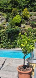 Piscina a Sollevante Ascona mit Pool und fantastischem Seesicht o a prop