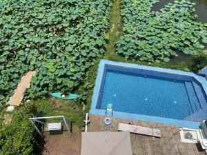 una vista dall'alto di una piscina in un lago di Yangshuo Durian Guesthouse 阳朔榴莲间民宿 a Yangshuo