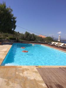 two frisbees in a large blue swimming pool at Xenon Estate in Spetses