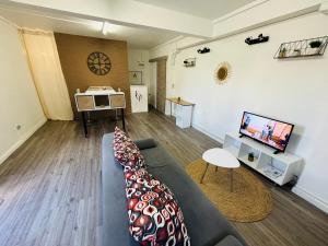 TV a/nebo společenská místnost v ubytování Studio calme - travail ou repos