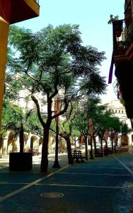 Il quartiere o una zona nella vicinanze dell'appartamento