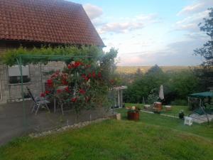 Un jardín fuera de Miličin konak