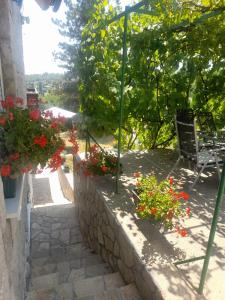 Un jardín fuera de Miličin konak