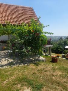 Un jardín fuera de Miličin konak 29 fotos más