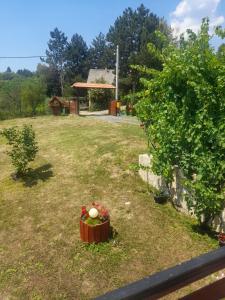Un jardín fuera de Miličin konak