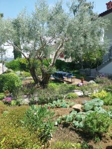 Κήπος έξω από το Apartma Bernardka