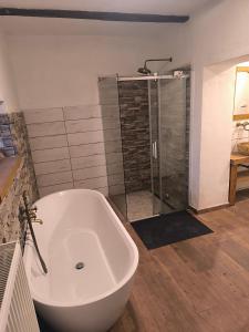 a bathroom with a large tub and a shower at Ubytování u řeky Lužnice na statku ,,U stříbrné podkovy" in Třebiště