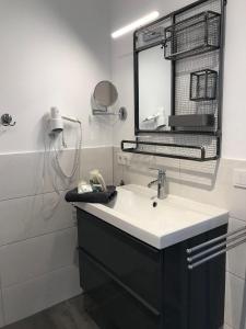 a bathroom with a sink and a mirror at Ferienwohnung-Bosau-im-Schwedenhaus in Bosau