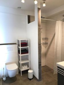 a bathroom with a toilet and a shower at Ferienwohnung-Bosau-im-Schwedenhaus in Bosau